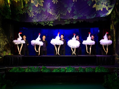 'Hồ Thiên Nga” phiên bản rối độc đáo