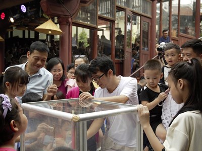 Nhà hát Múa rối Việt Nam tổ chức chương trình “Trăng trẻ thơ” ủng hộ người dân vùng lũ