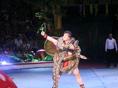 Đầu năm rắn nghe chuyện ông vua xiếc trăn