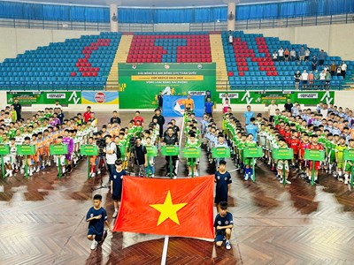 Khai mạc giải bóng đá thiếu niên, nhi đồng toàn quốc năm 2025 tại Hải Phòng