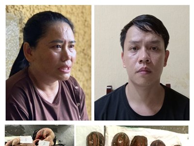 Khởi tố hai đối tượng mua, bán động vật hoang dã quý hiếm