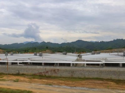 Yêu cầu đình chỉ hoạt động trang trại chăn nuôi lợn gây mùi hôi ảnh hưởng đến khu dân cư