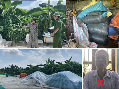 Quên khoá cổng bị trộm 13 bì lông vịt trị giá trên 100 triệu đồng