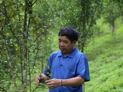 Cảm động những lá đơn xin thoát nghèo ở huyện vùng cao biên giới xứ Thanh