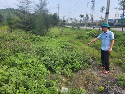 Phó Chủ tịch tỉnh Thanh Hoá chỉ đạo “nóng” vụ Di tích Giếng Ngọc bị vùi lấp