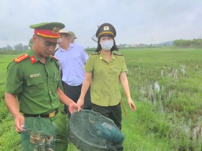 Tháo gỡ, tiêu huỷ hàng ngàn chim mồi giả, dụng cụ bẫy chim trời