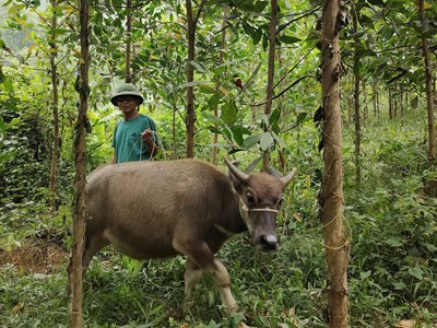 Trao sinh kế giúp đồng bào dân tộc thiểu số thoát nghèo