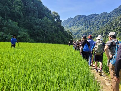 Công bố 12 tuyến du lịch đi bộ trong rừng tại các huyện miền núi 