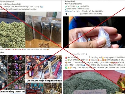 Khởi tố 2 học sinh THPT vì mua bán, sử dụng “cỏ Mỹ“