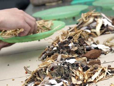 Người phụ nữ tử vong nghi do uống lá, rễ cây sắc chữa bệnh