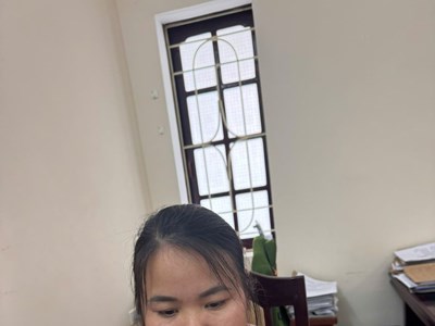 Bắt người phụ nữ trong đường dây thuê gần 50 ô tô rồi mang đi bán