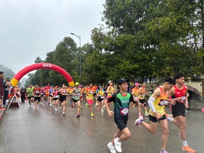 Sôi nổi Giải chạy Hàm Rồng Half Marathon 2025 