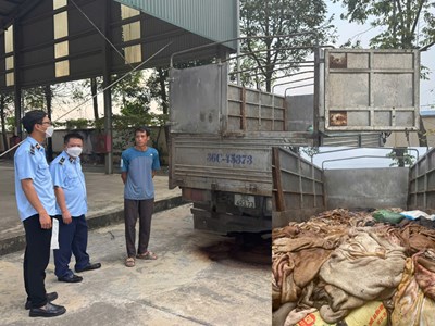 Tiêu hủy 5 tấn da trâu, bò bốc mùi giữa trời nắng gắt