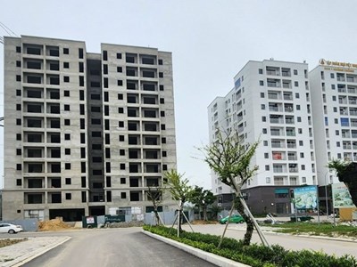 Kiên quyết xử lý sai phạm, bảo vệ đúng đối tượng thụ hưởng 