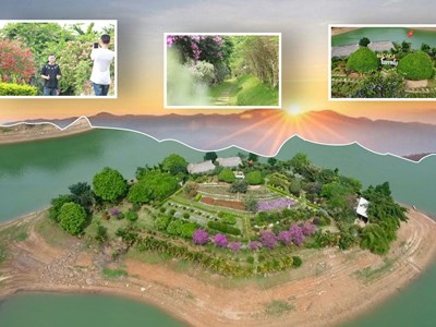 Từ đất hoang sơ thành đảo hoa hút khách giữa lòng hồ Núi Cốc