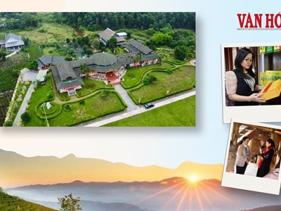 Đánh thức sức hút du lịch từ văn hóa trà Thái Nguyên