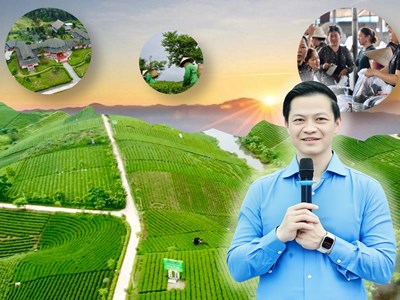 Tái cấu trúc du lịch từ lợi thế vùng chè Thái Nguyên