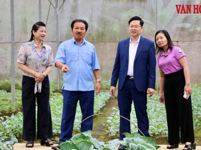 Thái Nguyên mở rộng không gian du lịch từ những nông trại trải nghiệm