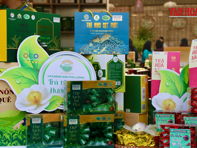 Chuẩn OCOP mở lối nâng tầm du lịch cộng đồng Việt Nam