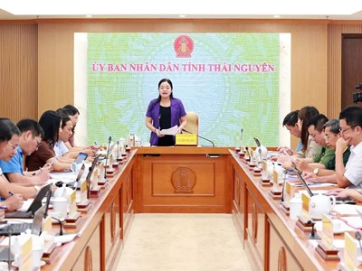Thái Nguyên chuẩn bị Festival Trà Quốc tế gắn với văn hóa và du lịch