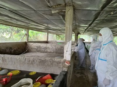 Quy trách nhiệm chủ tịch xã, phường nếu để dịch bùng phát do chủ quan, lơ là