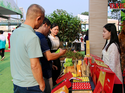 Văn hóa chè mở hướng phát triển du lịch cho Tân Cương
