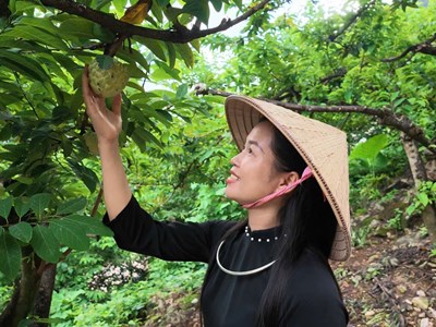 Thái Nguyên đưa nông sản thành điểm hẹn du lịch