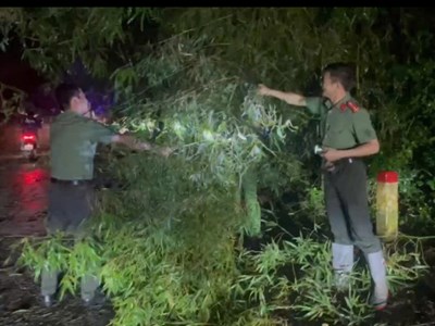 Thái Nguyên huy động lực lượng sẵn sàng ứng phó mưa lũ