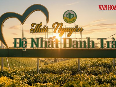 Thái Nguyên biến văn hóa trà thành sản phẩm du lịch