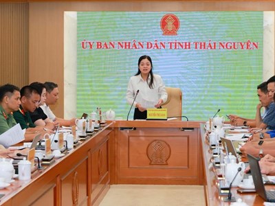 Festival Trà Quốc tế Thái Nguyên 2026 vào chặng nước rút