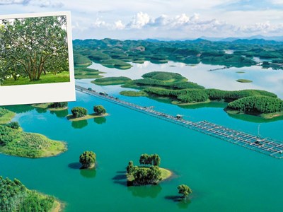 Đánh thức tiềm năng du lịch Thác Bà từ chuỗi sự kiện văn hóa nổi bật