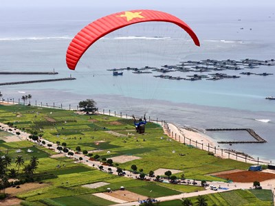 Bay trên cánh đồng hành tỏi, biển xanh, mây trắng 