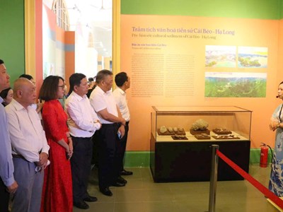 Sắc màu di sản văn hoá biển Hải Phòng - Quảng Ninh