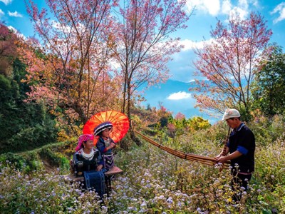 Sắp diễn ra Festival trình diễn khèn Mông và Lễ hội hoa Tớ dày 