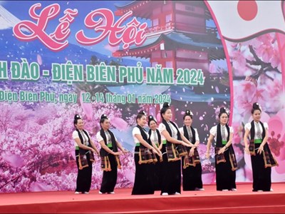 Sắp diễn ra Lễ hội hoa anh đào - Điện Biên Phủ 2025