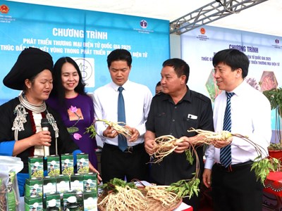 Đẩy mạnh chuyển đổi số gắn với phát triển thương mại điện tử