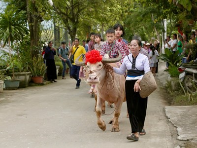 Về Phù Yên vui Tết “Xíp xí” dịp Quốc khánh 2.9 