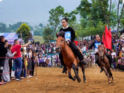 Lên rẻo cao Tả Lèng vui hội đua ngựa với đồng bào Mông