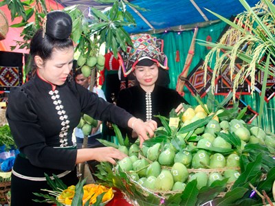 Kết nối thị trường, xây dựng chuỗi giá trị để nông sản Sơn La vươn xa