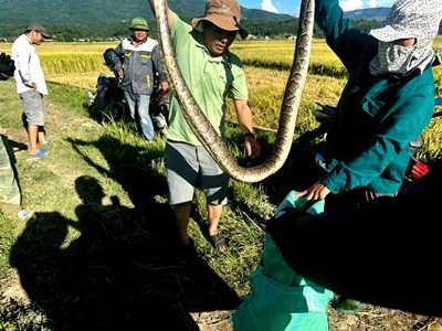 Điện Biên tăng cường quản lý, kiểm soát bảo vệ động vật hoang dã