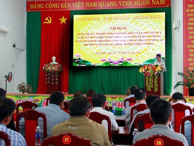 Nâng cao nhận thức về tảo hôn, hôn nhân cận huyết thống trong đồng bào dân tộc thiểu số tại Lâm Đồng