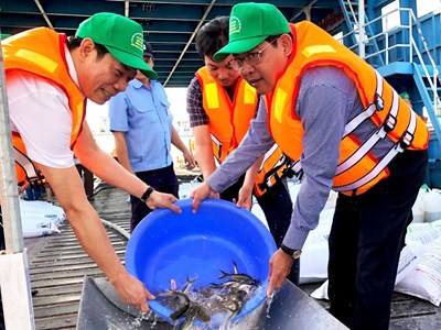 An Giang – Cần Thơ – Đồng Tháp thả cá giống tái tạo nguồn lợi thủy sản