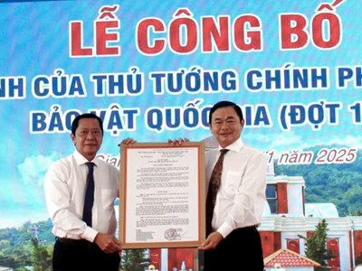 Công nhận hai Bảo vật quốc gia và xác lập kỷ lục Việt Nam về văn hóa Óc Eo tại An Giang