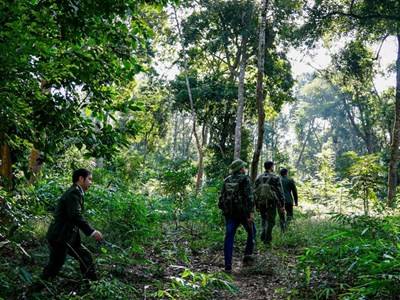 Nâng cao chất lượng, bảo tồn hệ sinh thái rừng và phòng, chống thiên tai