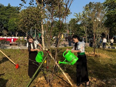 Mường Phăng phát động trồng cây anh đào tạo cảnh quan hấp dẫn du khách