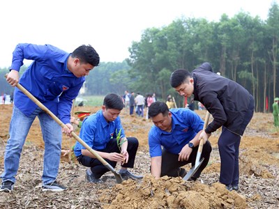 Tuyên Quang tổ chức Ngày Cây xanh Việt Nam để xây dựng lối sống xanh, bền vững