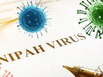 Tuyên Quang tăng cường giám sát phòng, chống dịch bệnh do virus Nipah