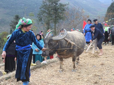 Mộc mạc lễ hội xuống đồng của người Giáy nơi vùng cao Lũng Cú
