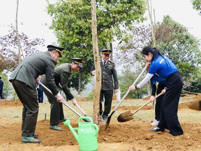 Lai Châu phát động “Tết trồng cây đời đời nhớ ơn Bác Hồ”