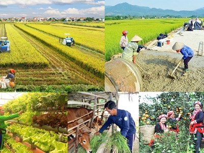 Tuyên Quang tập trung thực hiện hiệu quả các chương trình mục tiêu quốc gia
